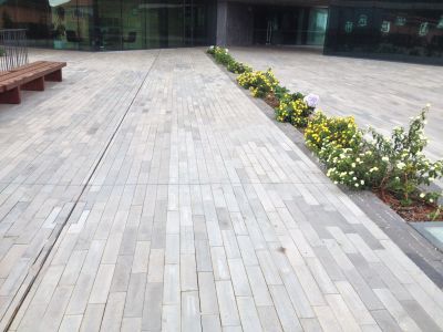 Centro Civico Santana